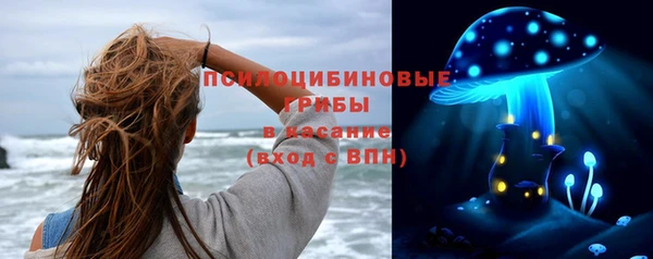 тгк Абаза
