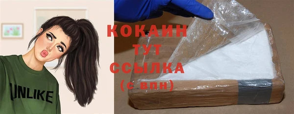 дживик Абинск
