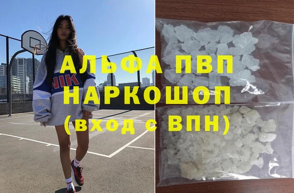 PSILOCYBIN Рославль