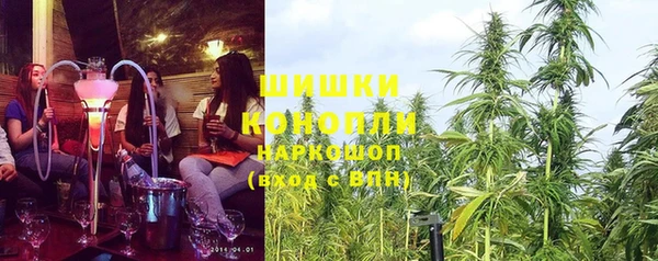 тгк Абаза