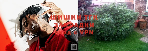 тгк Абаза