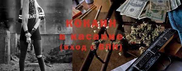 тгк Абаза