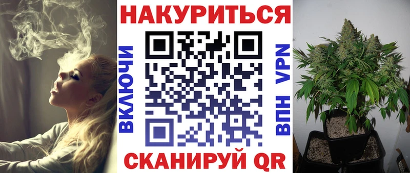 Шишки марихуана планчик Тайга